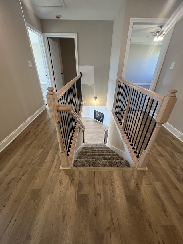 stairs featuring wood-type flooring