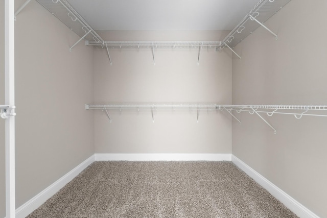 walk in closet with carpet flooring