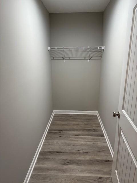 spacious closet featuring dark wood-type flooring