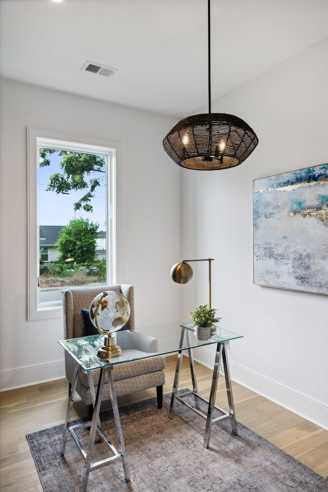 office area featuring hardwood / wood-style flooring and a healthy amount of sunlight