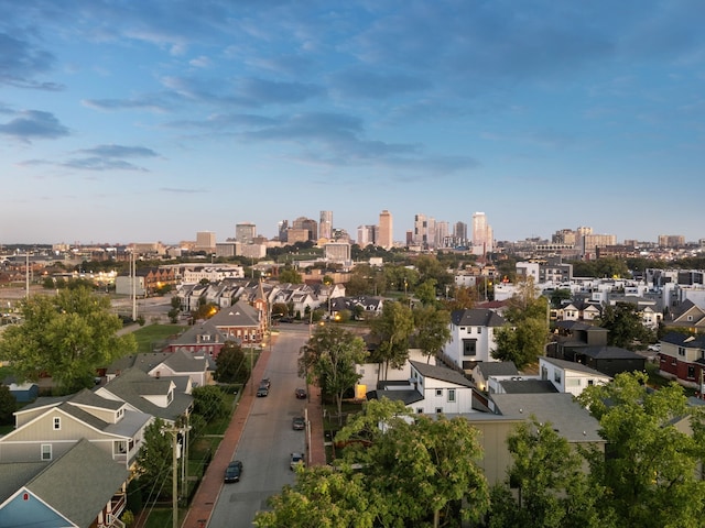 bird's eye view