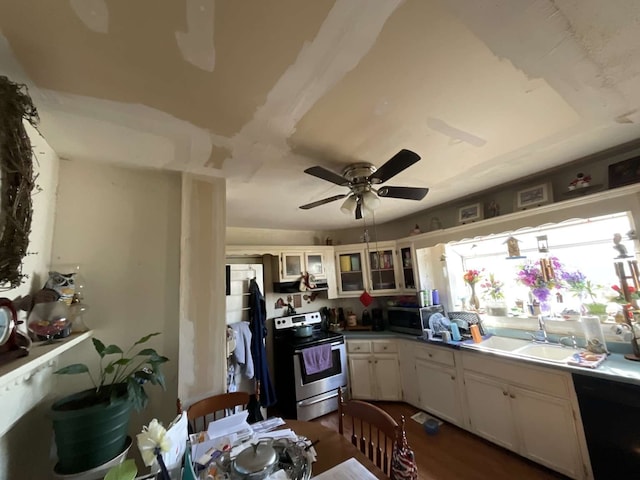 kitchen featuring white cabinets, ceiling fan, dark hardwood / wood-style flooring, sink, and stainless steel appliances