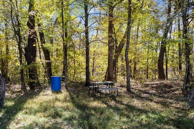 0 Garners Creek Rd, Dickson, TN 37055 - photo 10