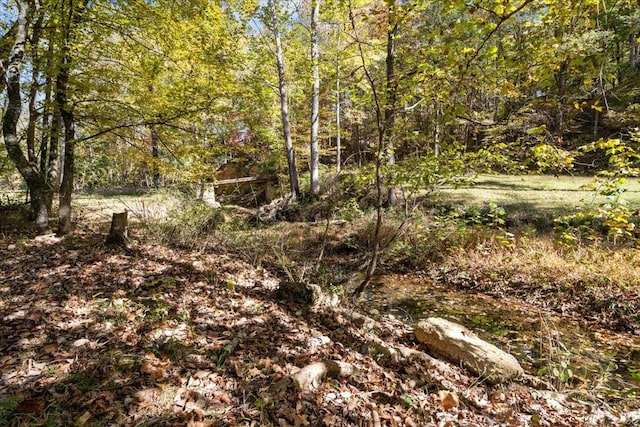 0 Garners Creek Rd, Dickson, TN 37055 - photo 9