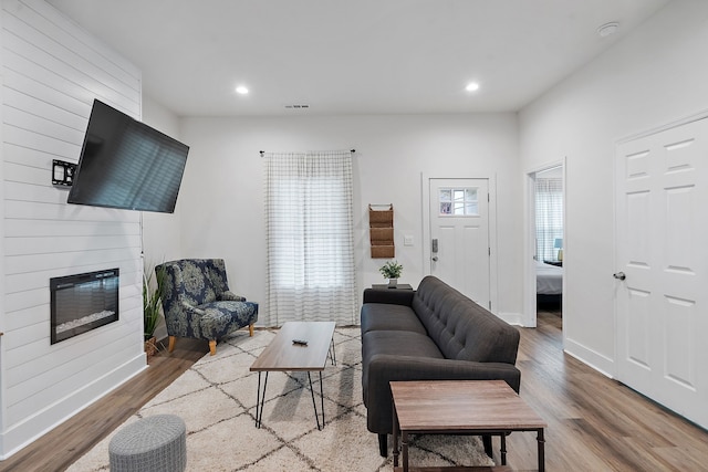 living room featuring a large fireplace and wood-type flooring