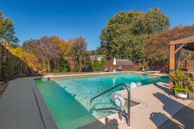 view of pool featuring a diving board and a patio