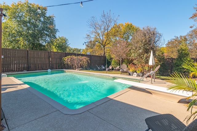 view of swimming pool featuring a patio area