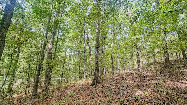 Listing photo 3 for 0 Hurricane Creek Rd, Stewart TN 37175