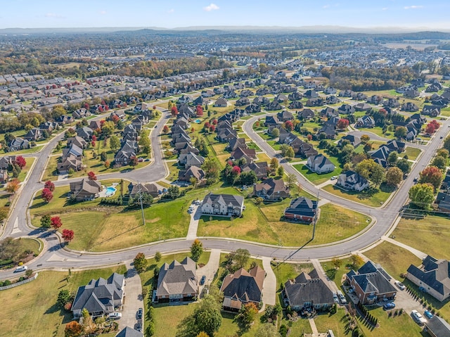 bird's eye view