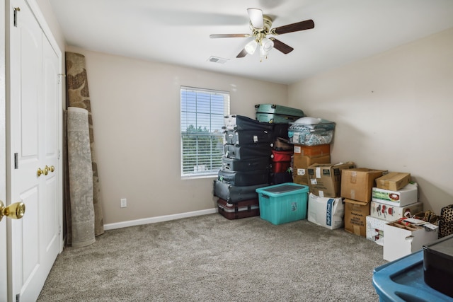 storage with ceiling fan