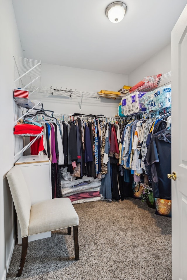 walk in closet featuring carpet