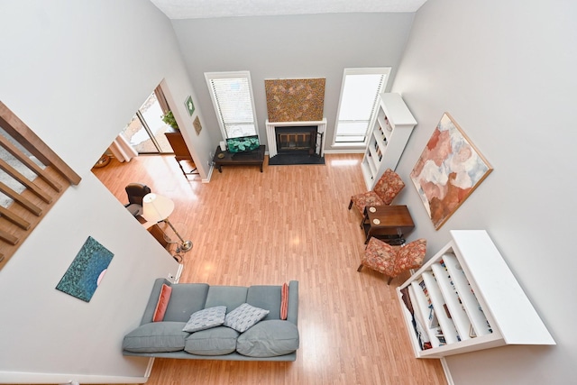 living room featuring hardwood / wood-style floors and a towering ceiling