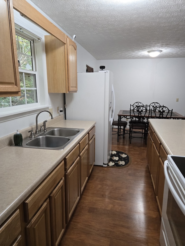 kitchen with dark hardwood / wood-style flooring, sink, a textured ceiling, and white appliances