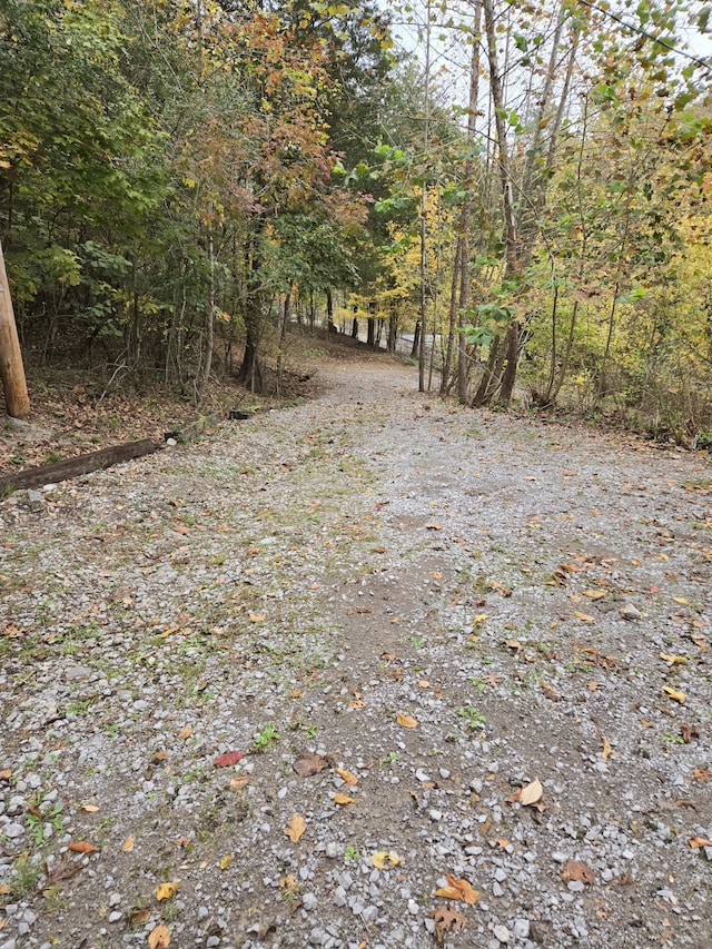 view of road