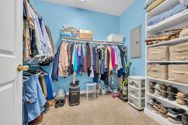 spacious closet featuring carpet and electric panel