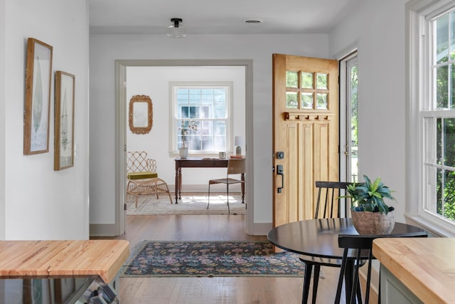 entryway with wood-type flooring and a healthy amount of sunlight