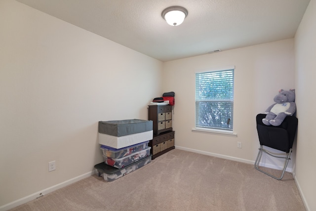 miscellaneous room with light carpet