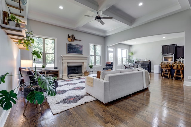 living room featuring beamed ceiling, plenty of natural light, and dark hardwood / wood-style flooring