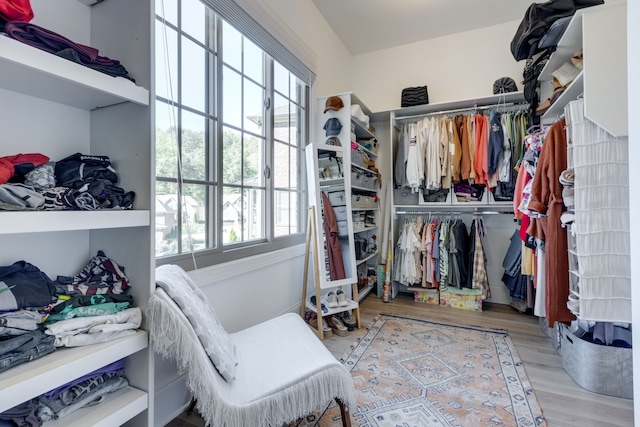 spacious closet with light hardwood / wood-style flooring