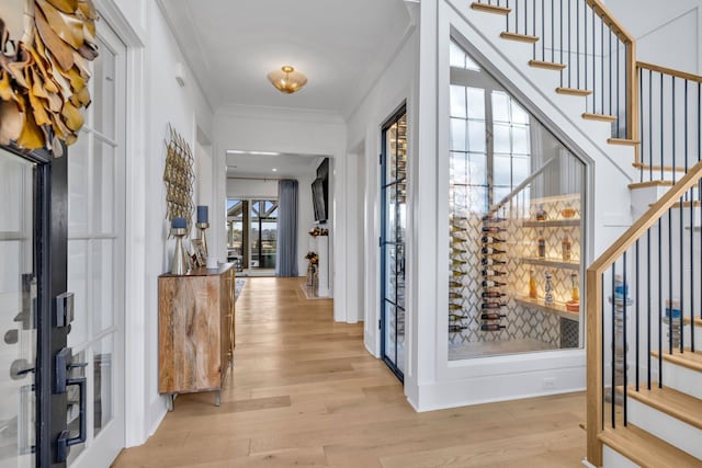 wine area featuring ornamental molding and light wood-type flooring