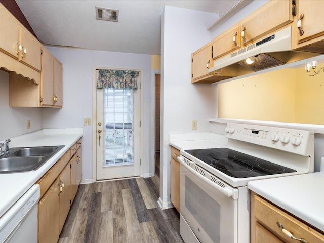 kitchen with sink, dark wood-type flooring, light brown cabinets, and white appliances