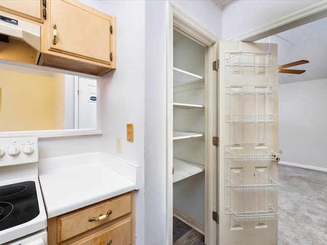 interior space featuring light carpet, white stove, and range hood