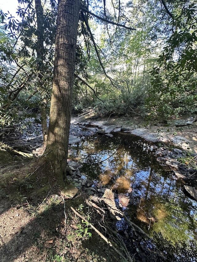 view of local wilderness