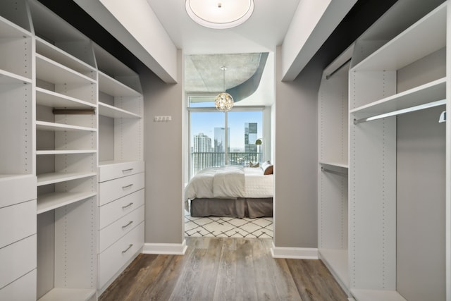 walk in closet with dark hardwood / wood-style floors and an inviting chandelier