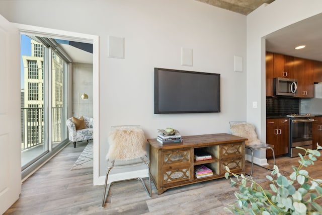 living room with light hardwood / wood-style floors and plenty of natural light