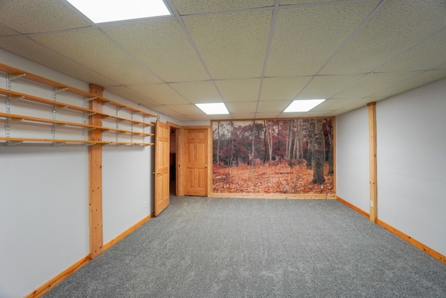 basement featuring a paneled ceiling and carpet floors