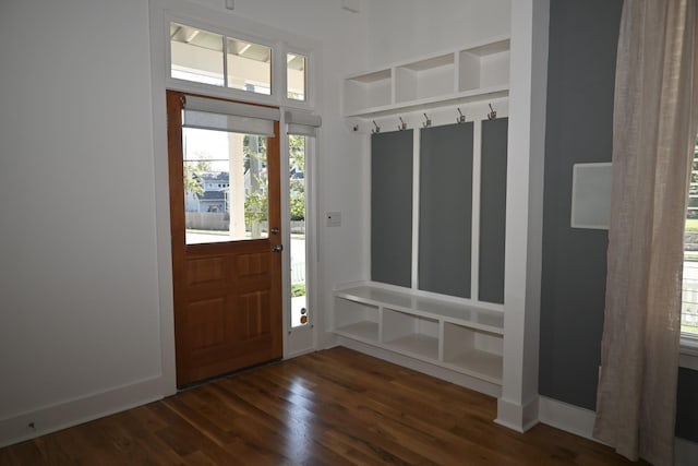 mudroom with dark hardwood / wood-style floors