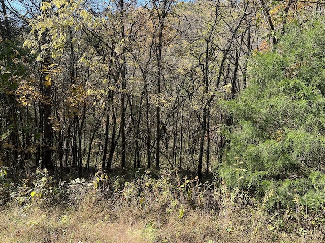 0 Reece Hollow Rd, Carthage, TN 37030 - photo 3