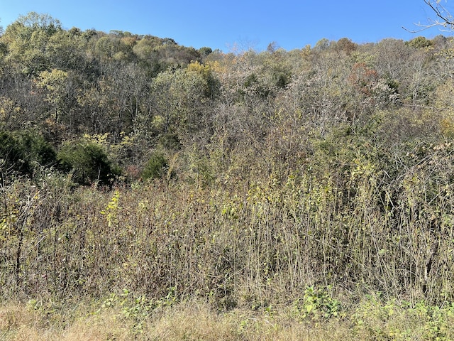 0 Reece Hollow Rd, Carthage, TN 37030 - photo 2