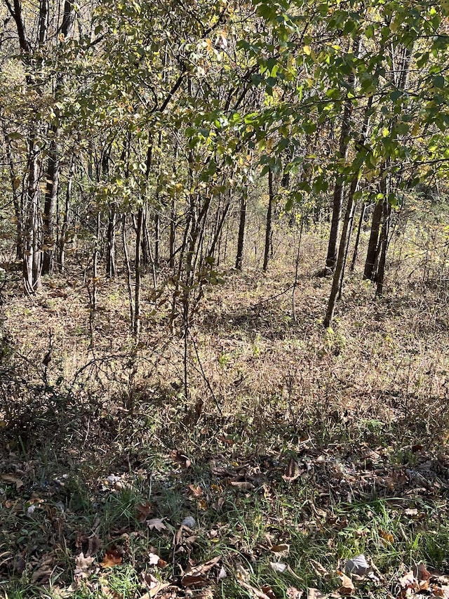 0 Reece Hollow Rd, Carthage, TN 37030 - photo 6