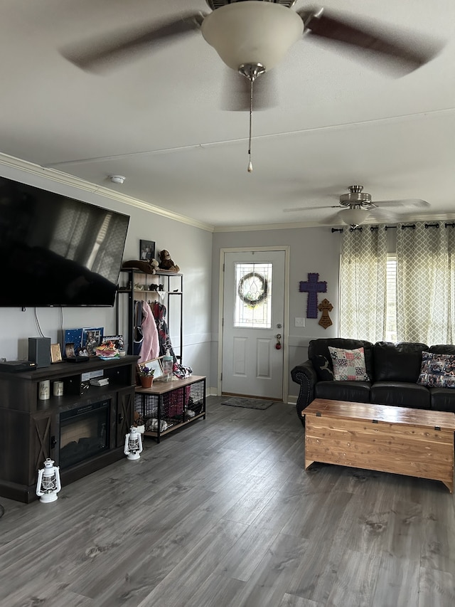 foyer with crown molding and wood-type flooring