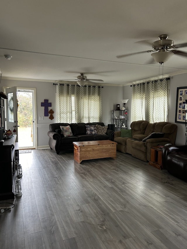 living room featuring ornamental molding, hardwood / wood-style floors, and ceiling fan