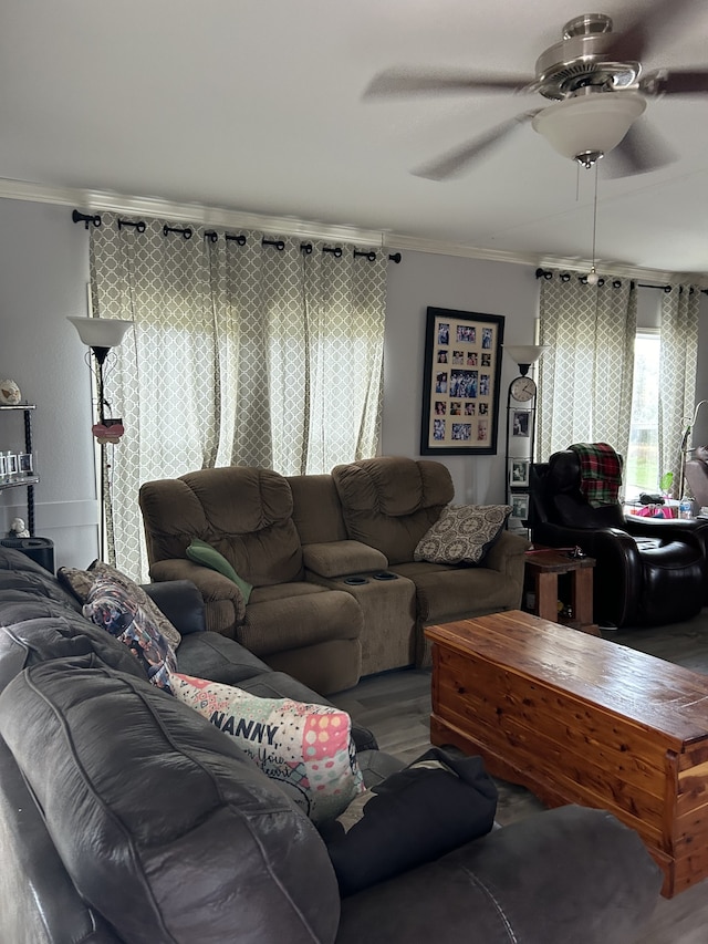 living room featuring hardwood / wood-style floors, crown molding, and ceiling fan