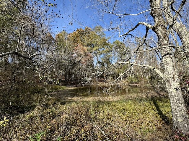 view of nature with a water view