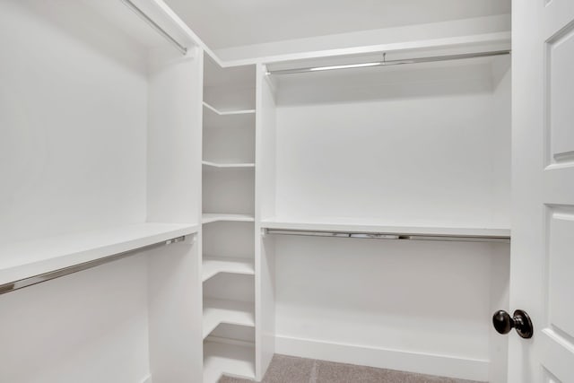 walk in closet featuring carpet floors