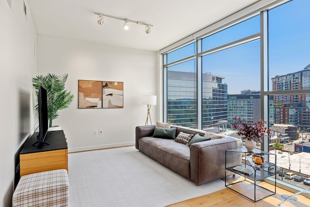 living room with hardwood / wood-style flooring and a wealth of natural light