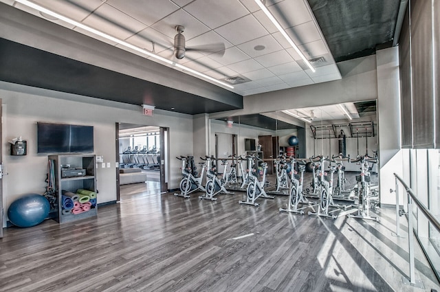 workout area with hardwood / wood-style floors and ceiling fan