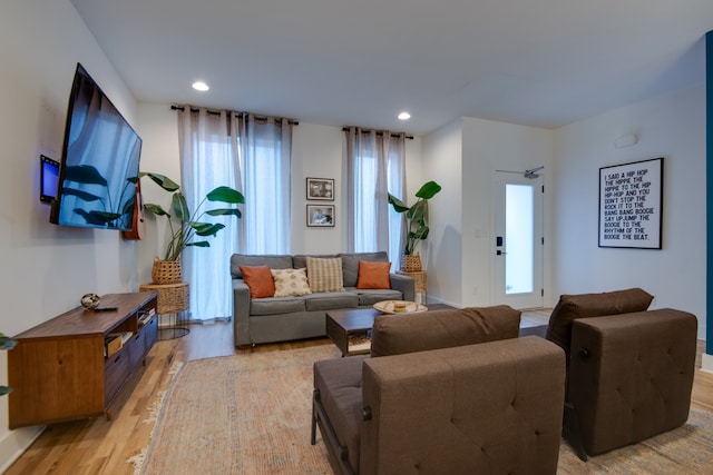 living room featuring a wealth of natural light and wood-type flooring