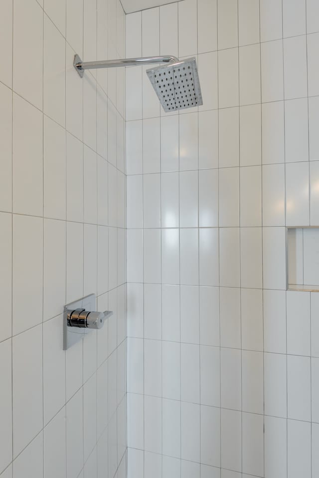 interior details with tiled shower