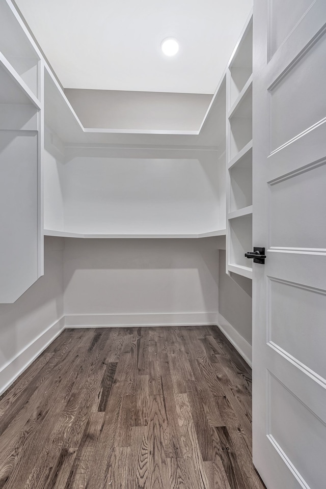 walk in closet featuring dark wood-type flooring