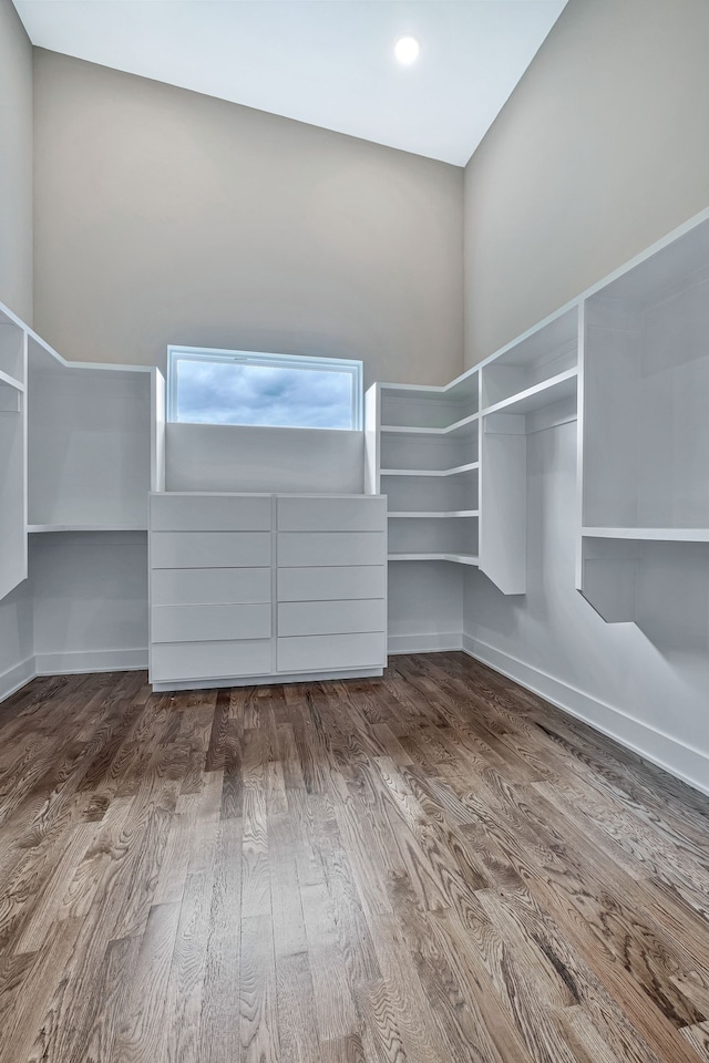 spacious closet featuring hardwood / wood-style floors