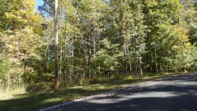 0 Inland Ct, Sparta, TN 38583 - photo 10