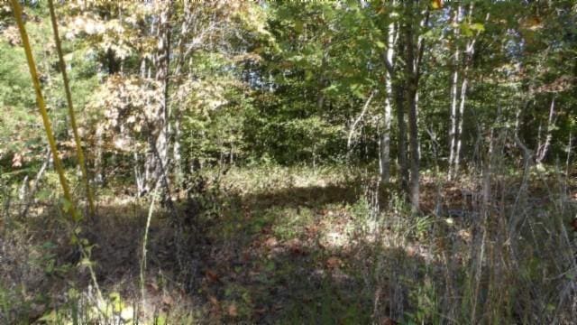 0 Inland Ct, Sparta, TN 38583 - photo 12