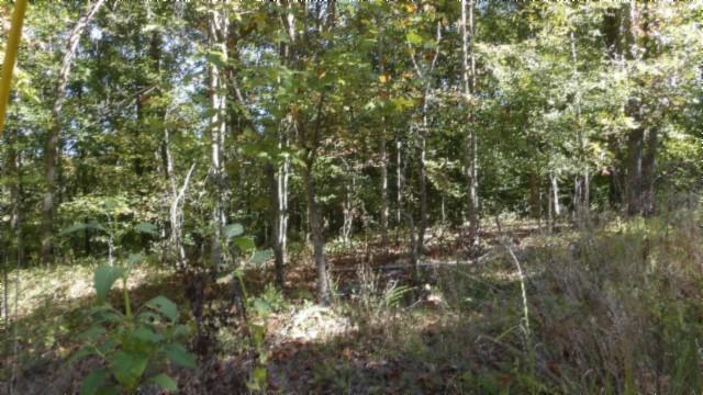 0 Inland Ct, Sparta, TN 38583 - photo 16