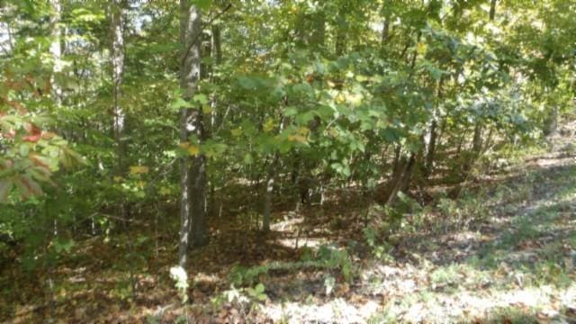 0 Inland Ct, Sparta, TN 38583 - photo 6