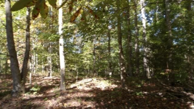 0 Inland Ct, Sparta, TN 38583 - photo 20